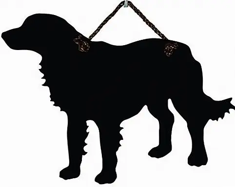 Источник изображения: Amazon.com