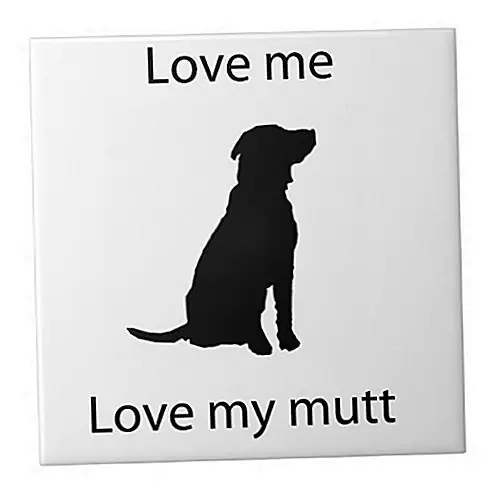Источник изображения: Zazzle.com