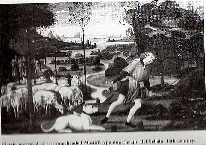Источник изображения: «Jacopo del Sallaio» Дэвида Хэнкока. Художник: Якопо дель Саллайо - Мастифы, охотники за крупной дичью. Лицензия под общественным достоянием через Wikimedia Commons