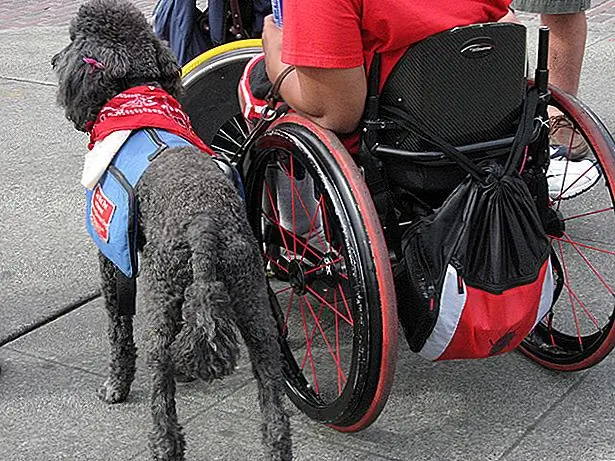 Источник изображения: @LisaNorwood через Flickr