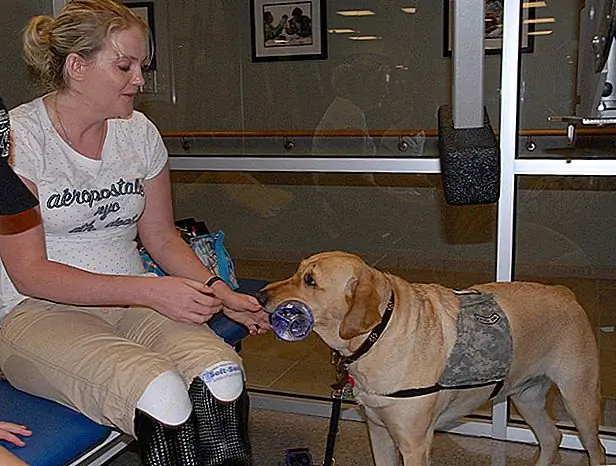 Источник изображения: @TheUSArmy через Flickr