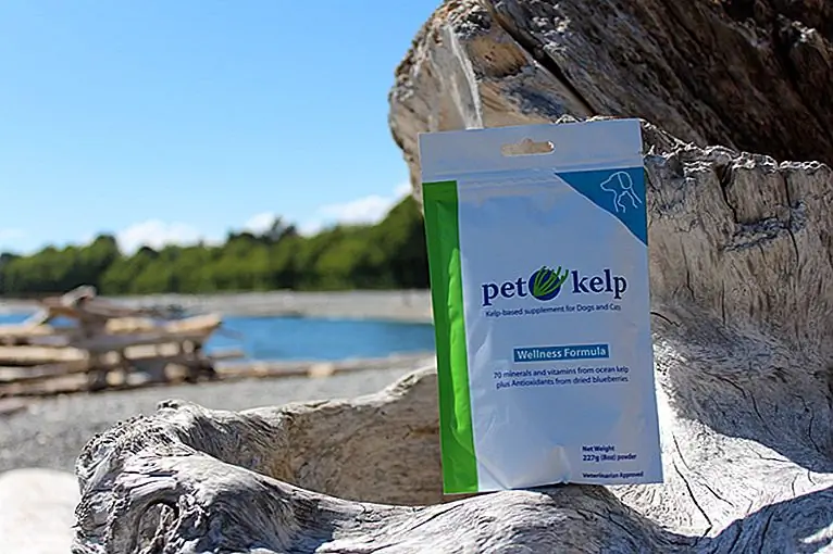 Источник изображения: PetKelp.com Источник изображения: PetKelp.com
