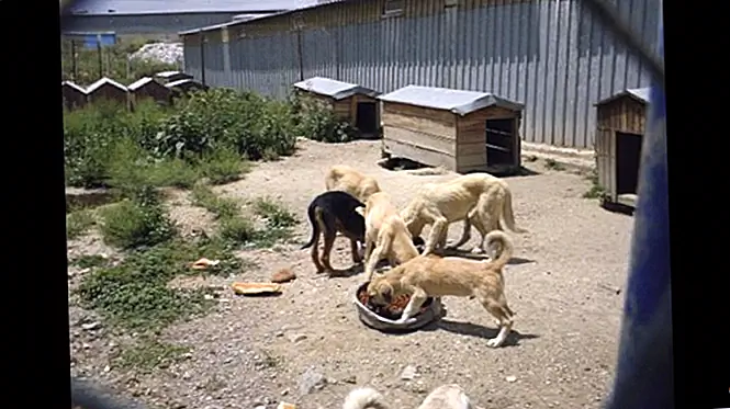 Image Image