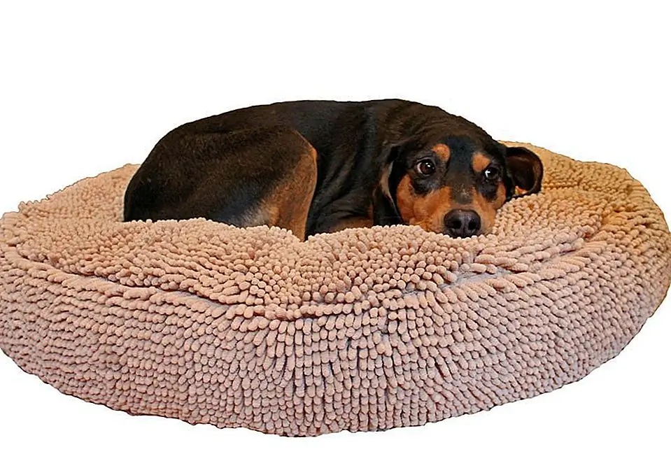 Источник изображения: Soggy Doggy Doormat
