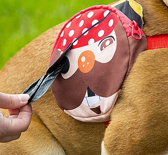 Источник изображения: Outward Hound