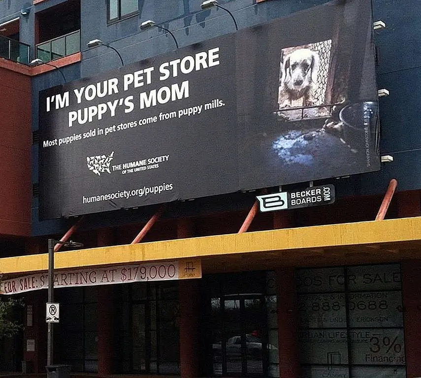 Источник изображения: Гуманное Общество Соединенных Штатов - Кампания Puppy Mill / Facebook