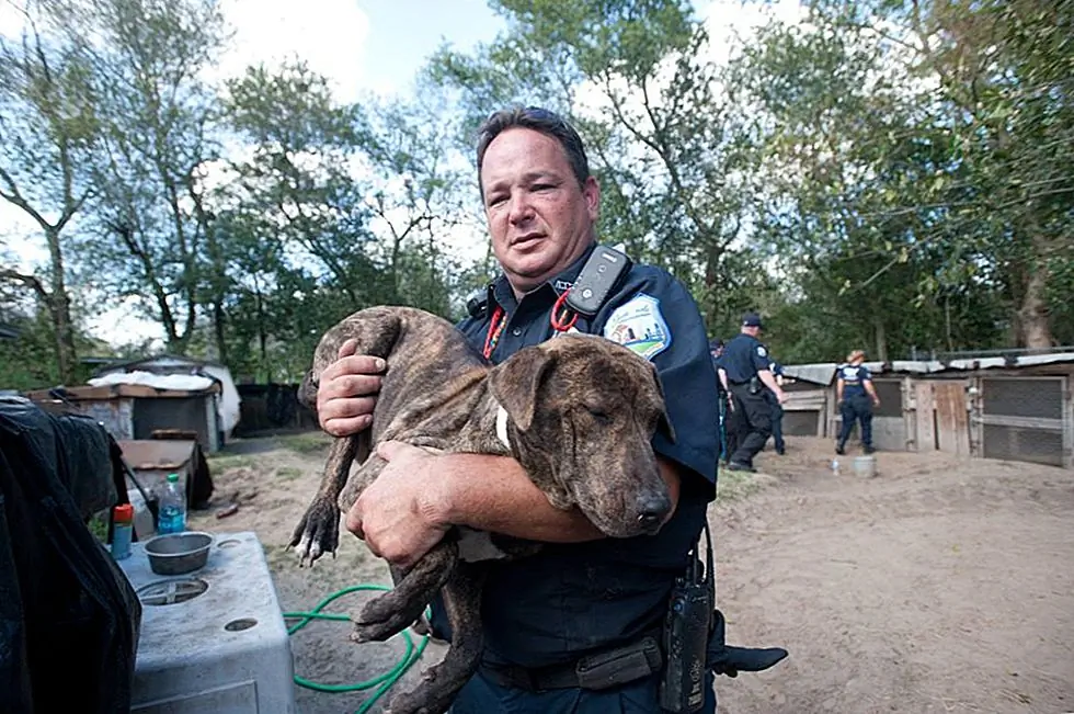 Источник изображения: Гуманное Общество Соединенных Штатов - Кампания Puppy Mill / Facebook