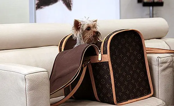 Комик шутит женщину, которая отказалась чистить собачью корму в LAX