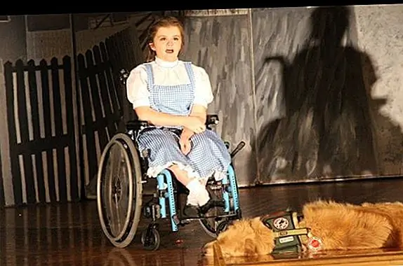 Служебная собака и его зрители вдали от людей в «Волшебнике страны Оз» в средней школе