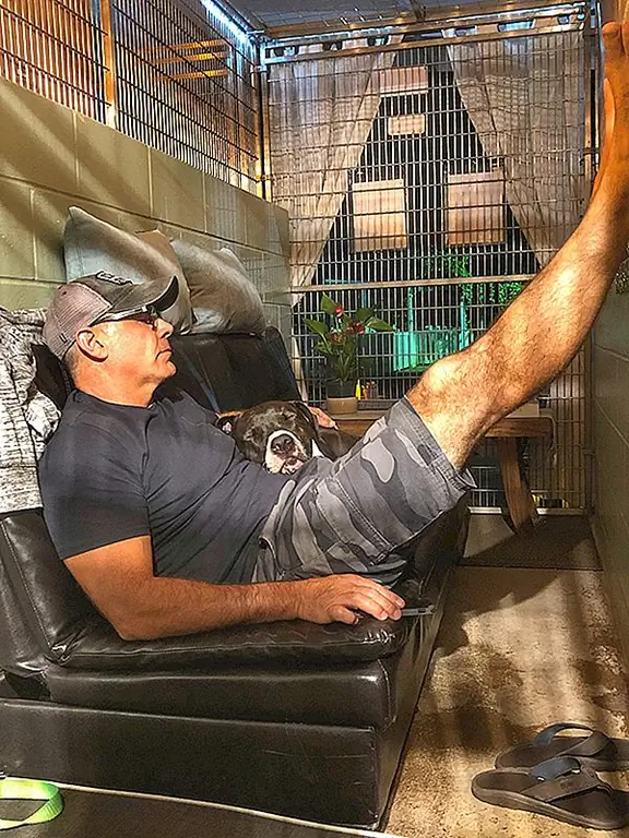 Мауи Гуманное Общество