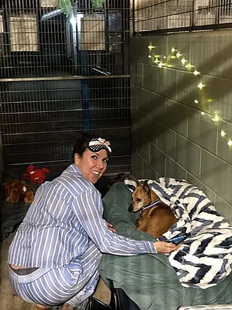 Мауи Гуманное Общество