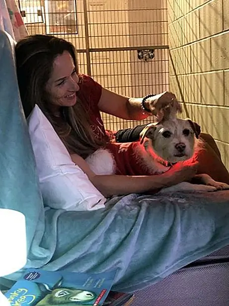 Мауи Гуманное Общество