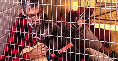 Волонтер поет сладкую песню для Pit Pup на вечеринке с укрытием