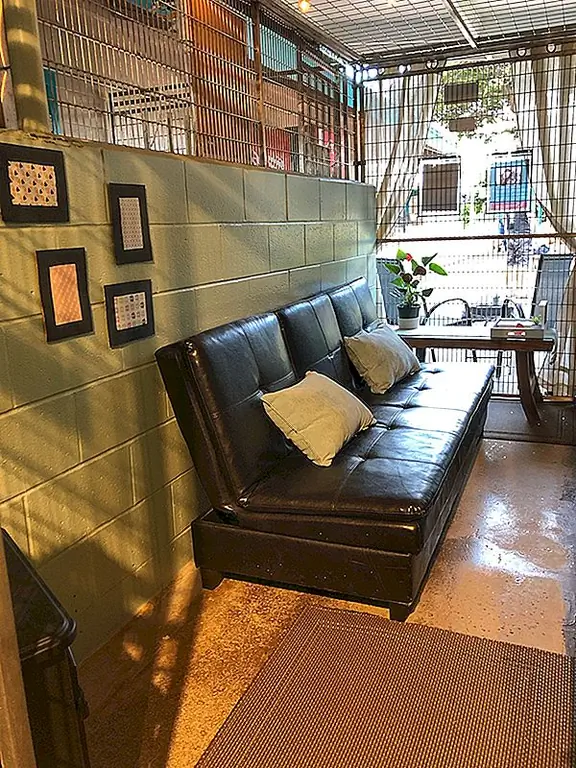 Мауи Гуманное Общество