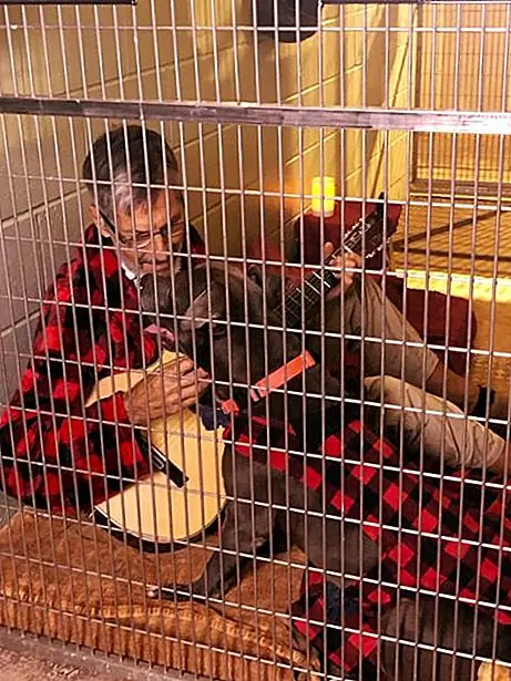 Мауи Гуманное Общество