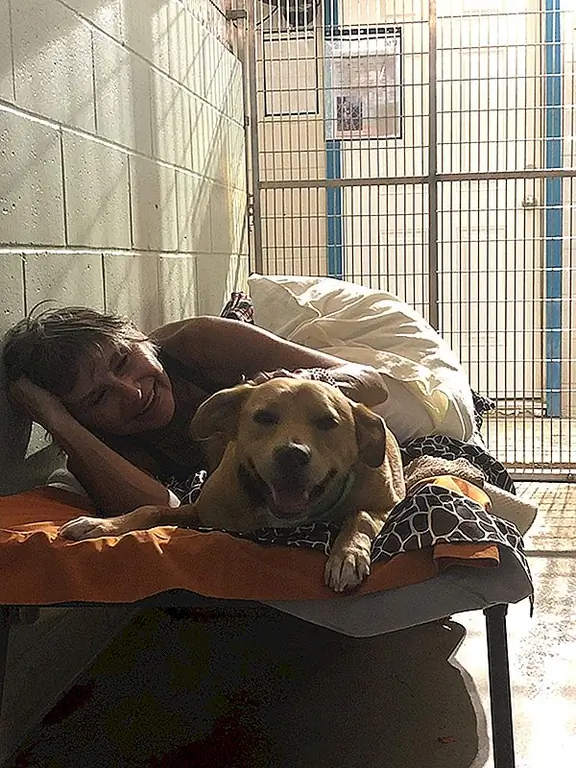 Мауи Гуманное Общество