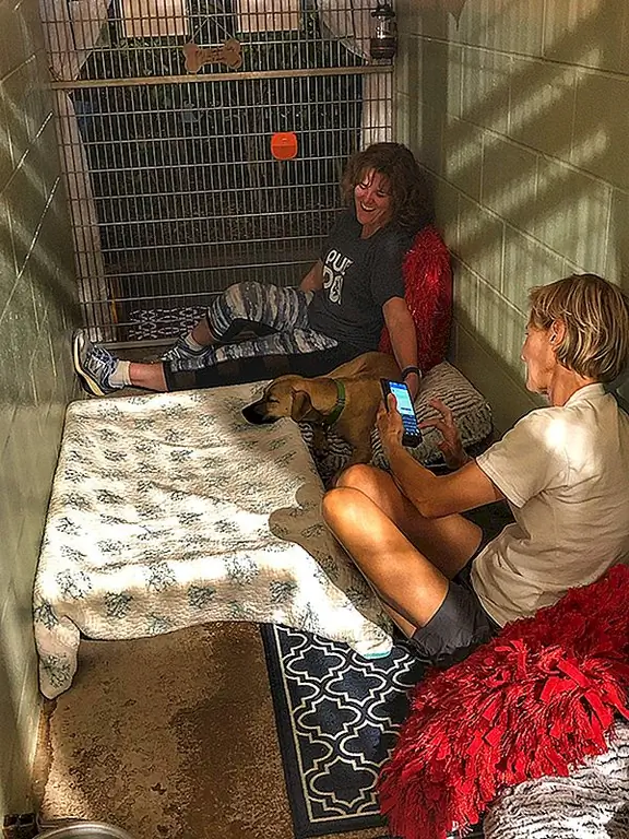 Мауи Гуманное Общество