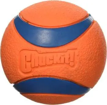 Image Image