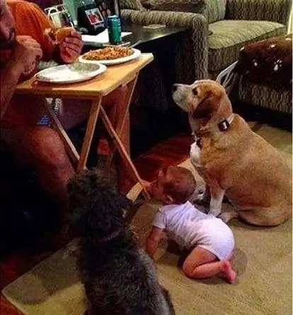 Image Image
