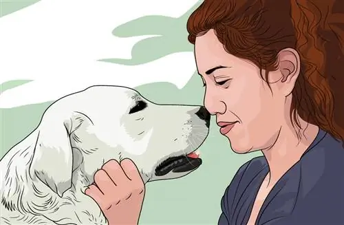 5 лучших способов, которыми ваша собака читает ваши эмоции