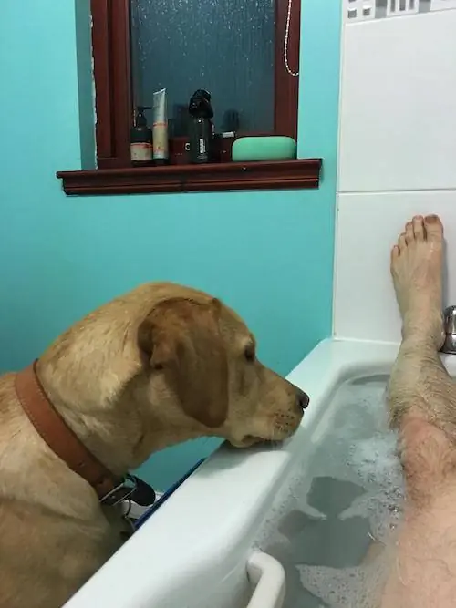 Изображение Изображение