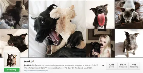 Изображение Изображение