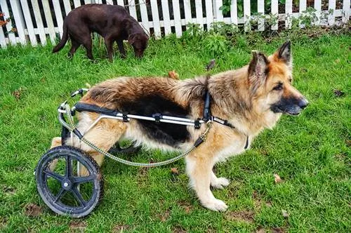 Изображение Изображение