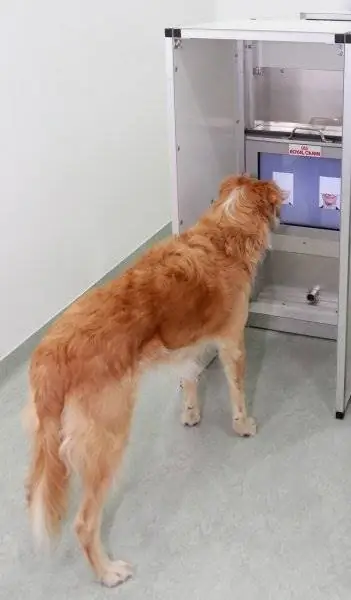 Изображение Изображение