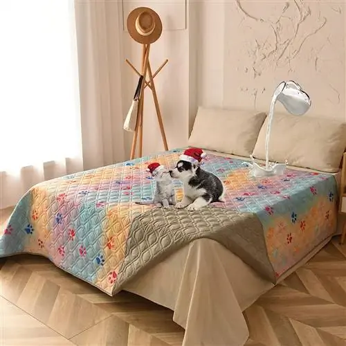Image Image