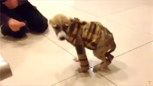 Изображение Изображение