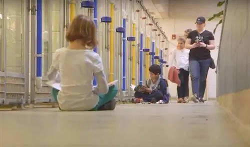 Изображение Изображение
