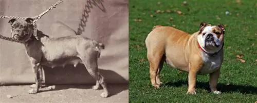 Image Image