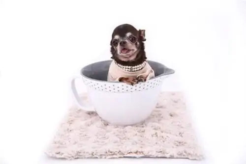 Изображение Изображение