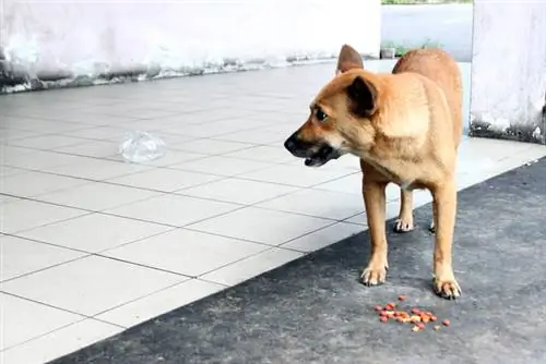 Изображение Изображение