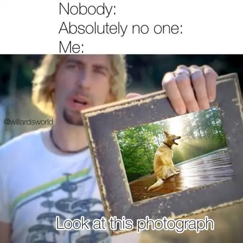 Image Image