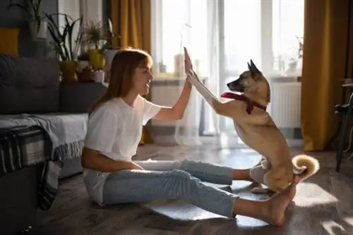 Image Image