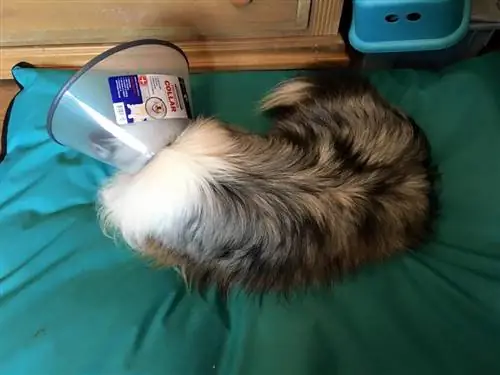 Изображение Изображение