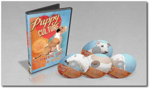10 лучших DVD-дисков по дрессировке собак, которые должен посмотреть каждый владелец собаки