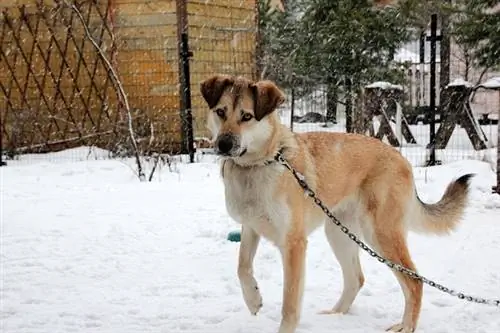 Изображение Изображение