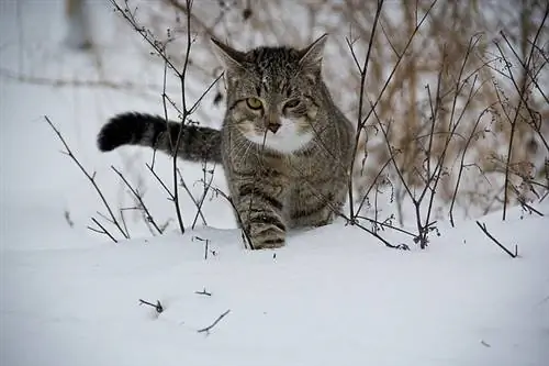 Изображение Изображение