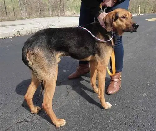 Изображение Изображение