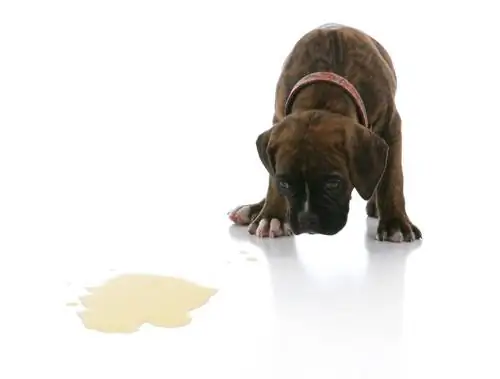Изображение Изображение