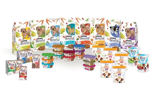 Обновление отзыва: против Nestle Purina подан коллективный иск после смерти собаки