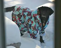 Изображение Изображение