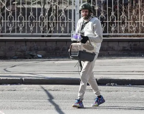 Изображение Изображение