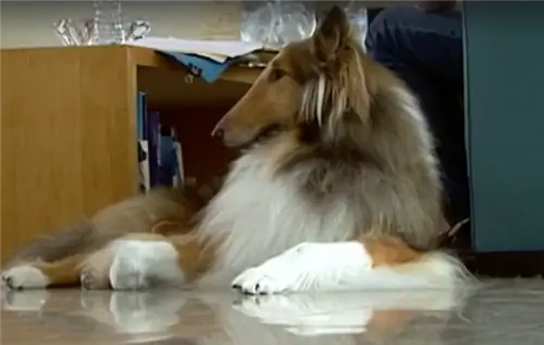 Изображение Изображение