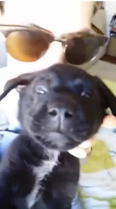 Изображение Изображение