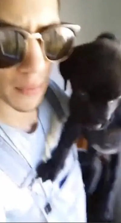 Изображение Изображение