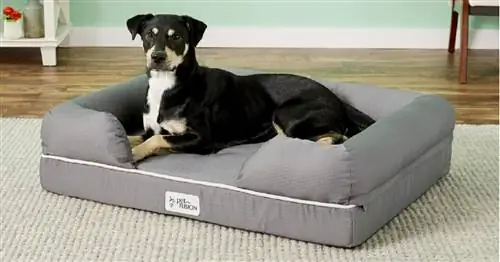 Кровать для собак PetFusion Ultimate: подробный обзор
