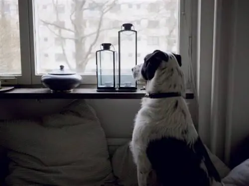 Изображение Изображение